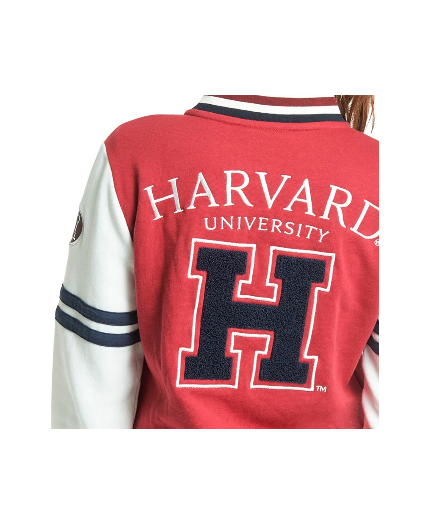 Chamarra-Universitaria-Harvard-Beat-Bear-Aplazo