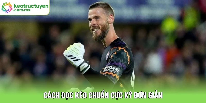 Cách đọc kèo chuẩn cực kỳ đơn giản