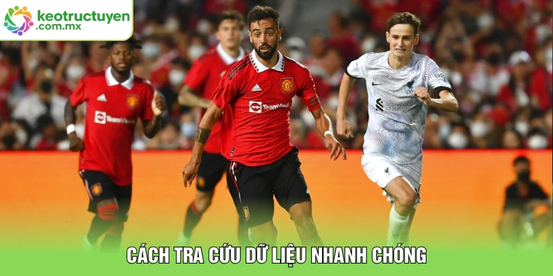 Cách tra cứu dữ liệu nhanh chóng
