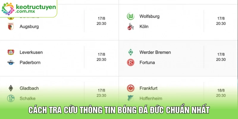 Cách tra cứu thông tin bóng đá Đức chuẩn nhất