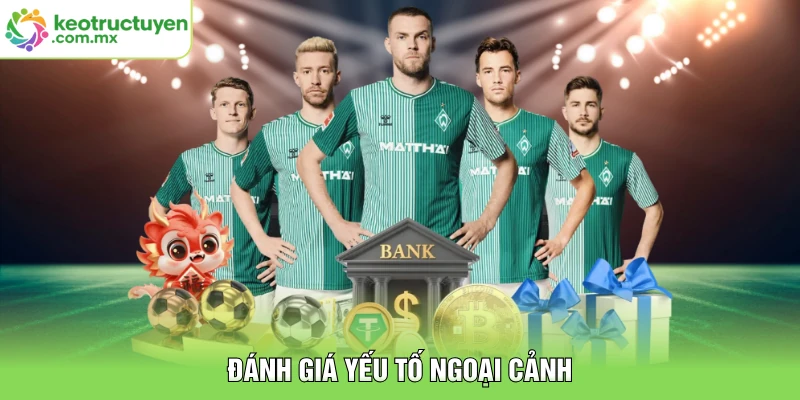 Đánh giá yếu tố ngoại cảnh