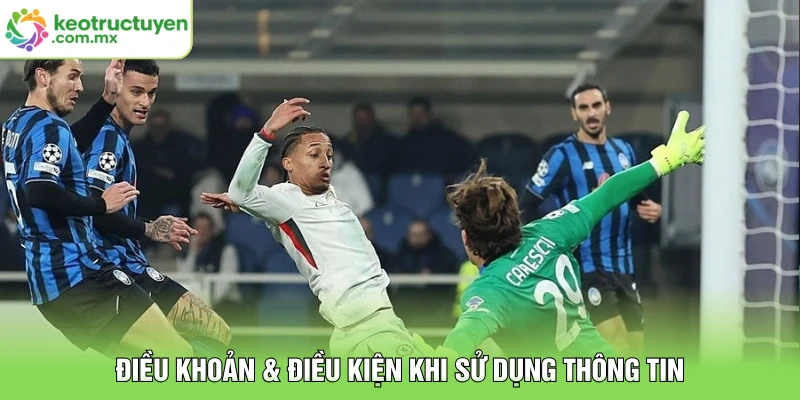 Điều khoản & điều kiện khi sử dụng thông tin