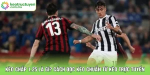 Kèo Chấp 1.25 Là Gì? Cách Đọc Kèo Chuẩn Từ KÈO TRỰC TUYẾN