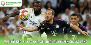 Mẹo Bắt Kèo| 8+ Các Chia Sẻ Chuẩn Từ Chuyên Gia Lão Làng