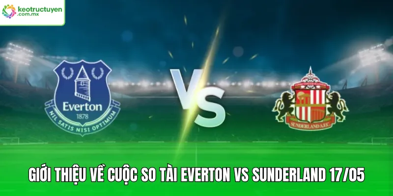 Giới thiệu về cuộc so tài Everton vs Sunderland 17/05