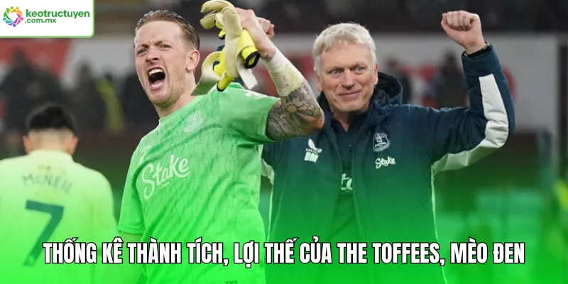 Thống kê thành tích, lợi thế của The Toffees, Mèo đen