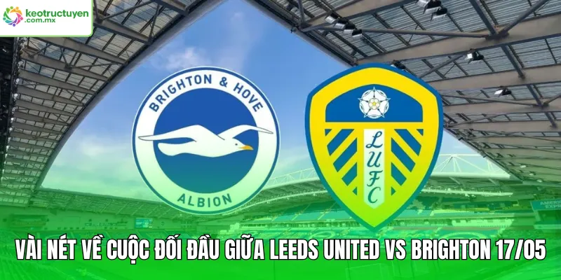 Vài nét về cuộc đối đầu giữa Leeds United vs Brighton 17/05